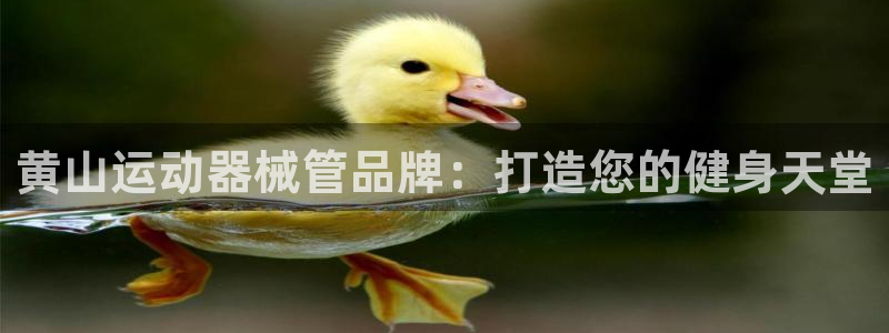 尊龙—人生就是博：黄山运动器械管品牌：打造您的健身天