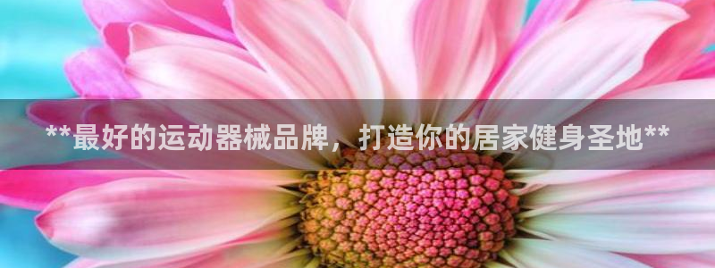 尊龙凯时集团：**最好的运动器械品牌，打造你的居家健身圣地*