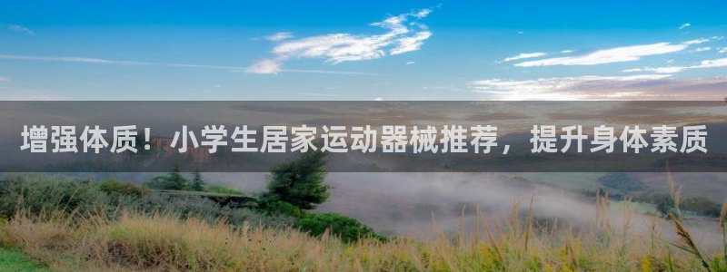 尊龙d88平台登录：增强体质！小学生居家运动器械推荐，提升身