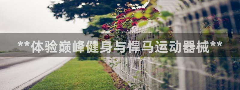 尊龙凯时官方下载：**体验巅峰健身与悍马运动器械**