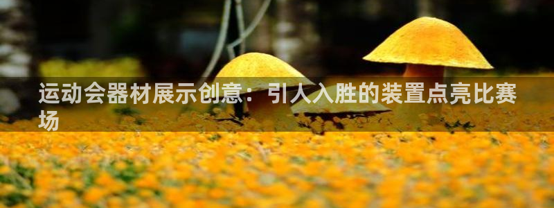 尊龙人生就是博ag：运动会器材展示创意：引人入胜的装