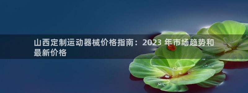 kb88凯时唯一官网注册：山西定制运动器械价格指南：2023