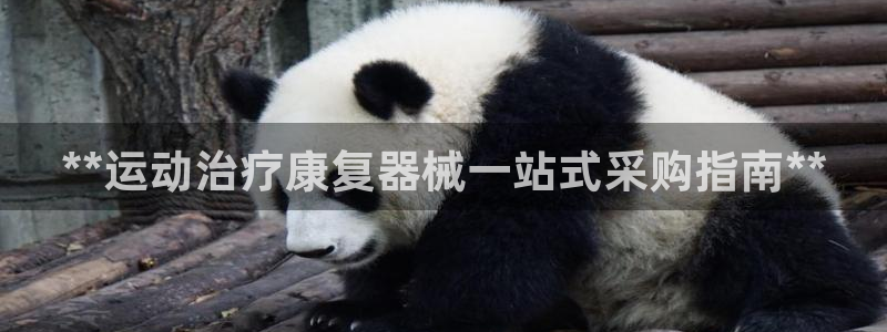 Z6尊龙官网入口：**运动治疗康复器械一站式采购指南**