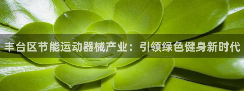 尊龙人生就是博首页：丰台区节能运动器械产业：引领绿色健身新时