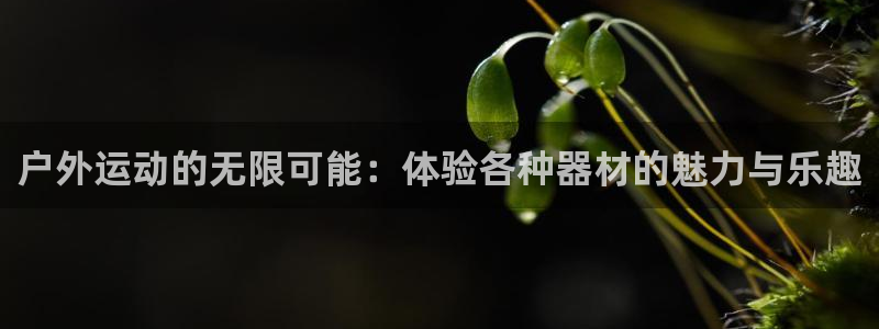 尊龙凯时·中国官方网站