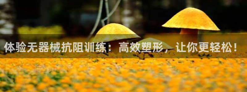 凯时官网