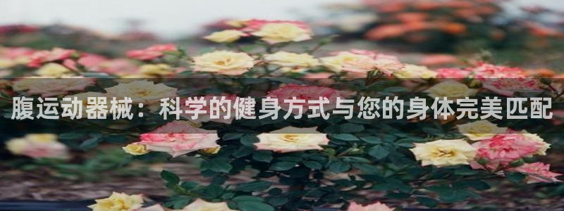 尊龙app下载官网