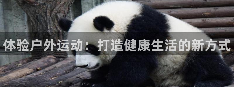 尊龙凯时注册