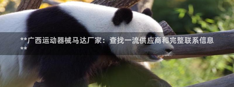 尊龙凯时·中国官方网站：**广西运动器械马达厂家：查