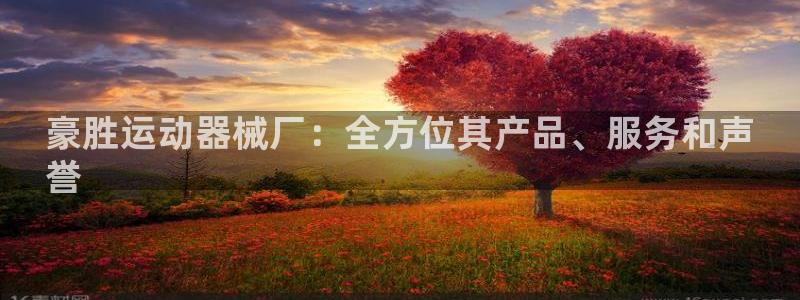 尊龙会：豪胜运动器械厂：全方位其产品、服务和声
誉