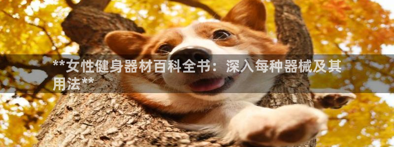 Z6尊龙凯时登录：**女性健身器材百科全书：深入每种