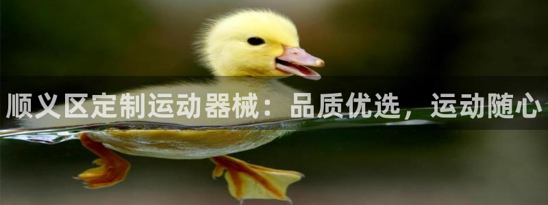 凯时登录：顺义区定制运动器械：品质优选，运动随心