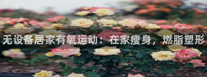 尊龙版末代皇帝：无设备居家有氧运动：在家瘦身，燃脂塑