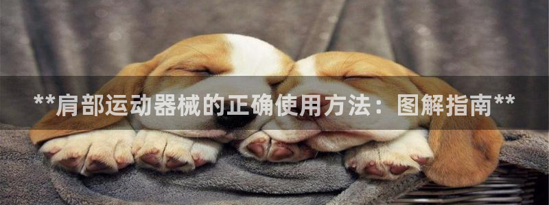 凯时国际最新：**肩部运动器械的正确使用方法：图解指