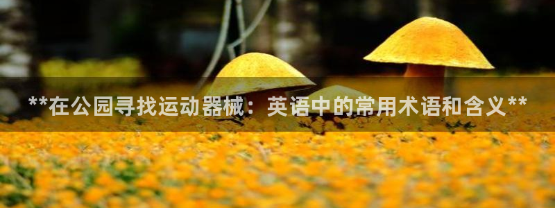 d88尊龙手机客户端下载：**在公园寻找运动器械：英