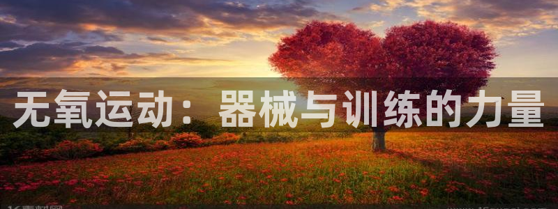 凯时最新官方APP下载：无氧运动：器械与训练的力量