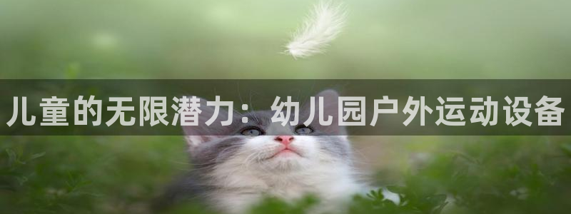 尊龙官网免费下载安卓：儿童的无限潜力：幼儿园户外运动设备